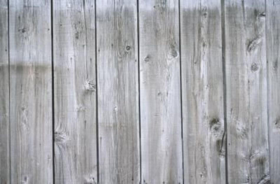 Which Stain for Pressure-Treated Wood Is Best